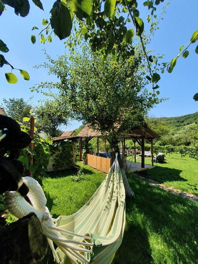 Valchid Guest House Ngoại thất bức ảnh