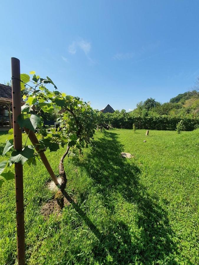 Valchid Guest House Ngoại thất bức ảnh