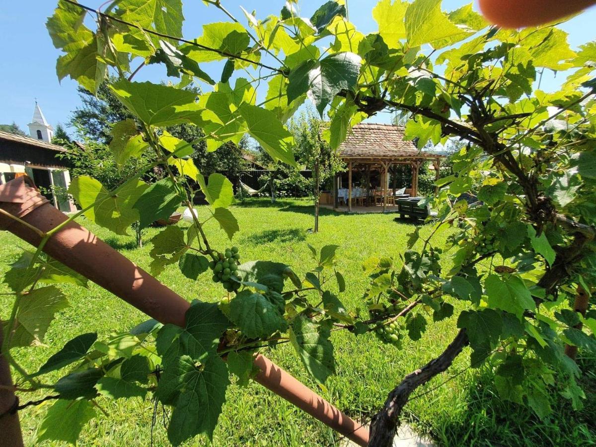 Valchid Guest House Ngoại thất bức ảnh