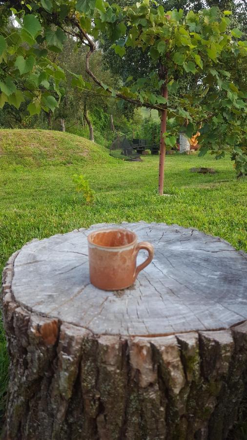 Valchid Guest House Ngoại thất bức ảnh